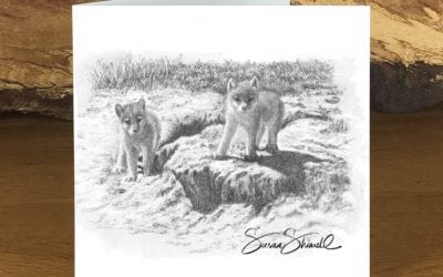 Wolf Cubs at Den