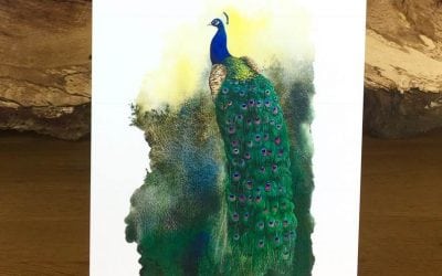 Peacock at Larmer Tree