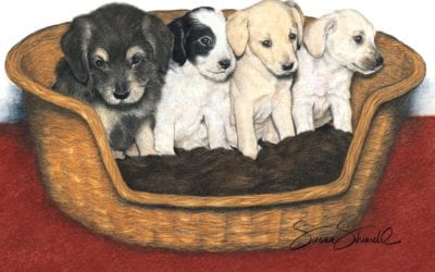 Basket of Puppies