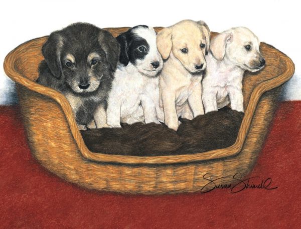 Basket of puppies drawn in pastel