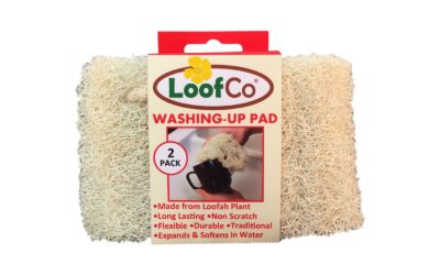 LoofCo Washing-Up Pads –  2 Pack