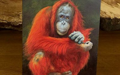 Amy Orangutan