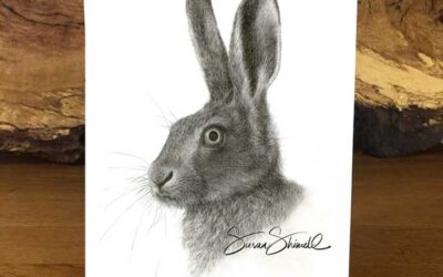 Brown Hare Portrait
