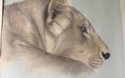 Lioness Painting – Work In Progress