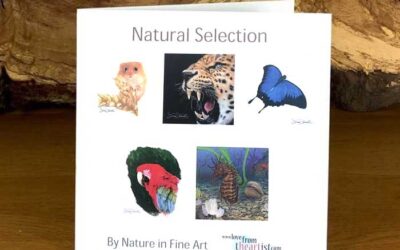 Natural Selection – Pack 5
